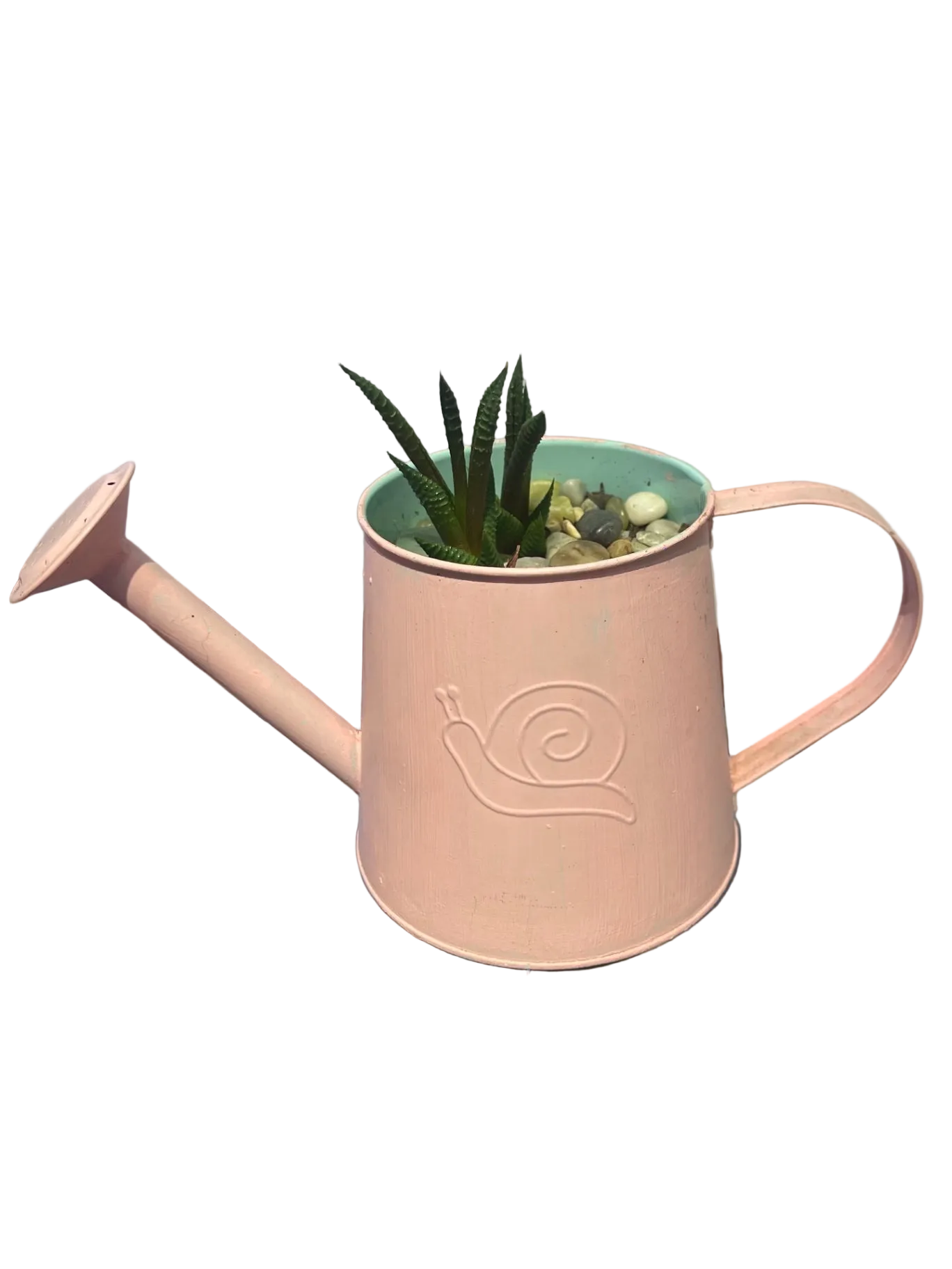 CC Fairy Washboard