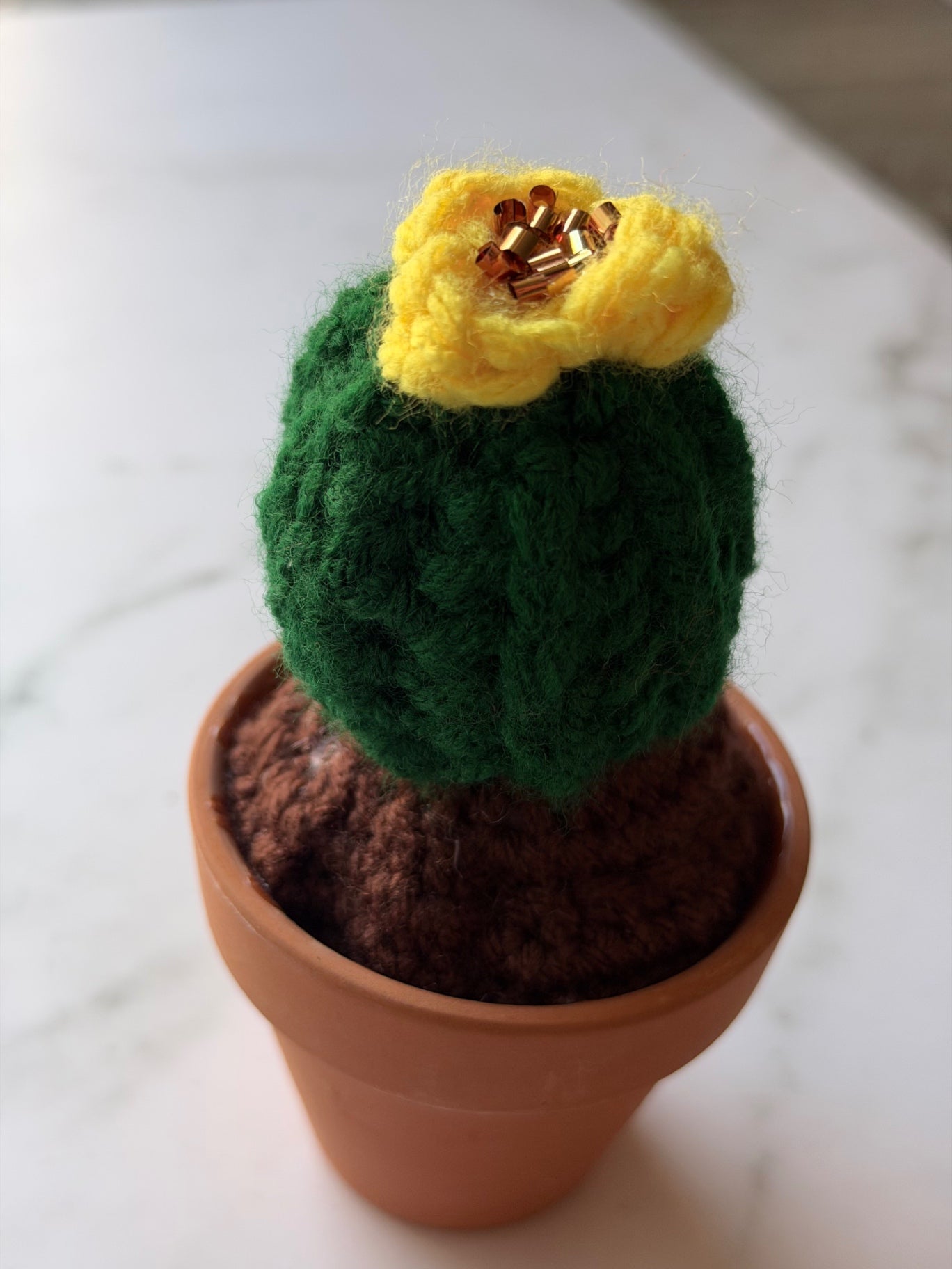 STbL Cactus