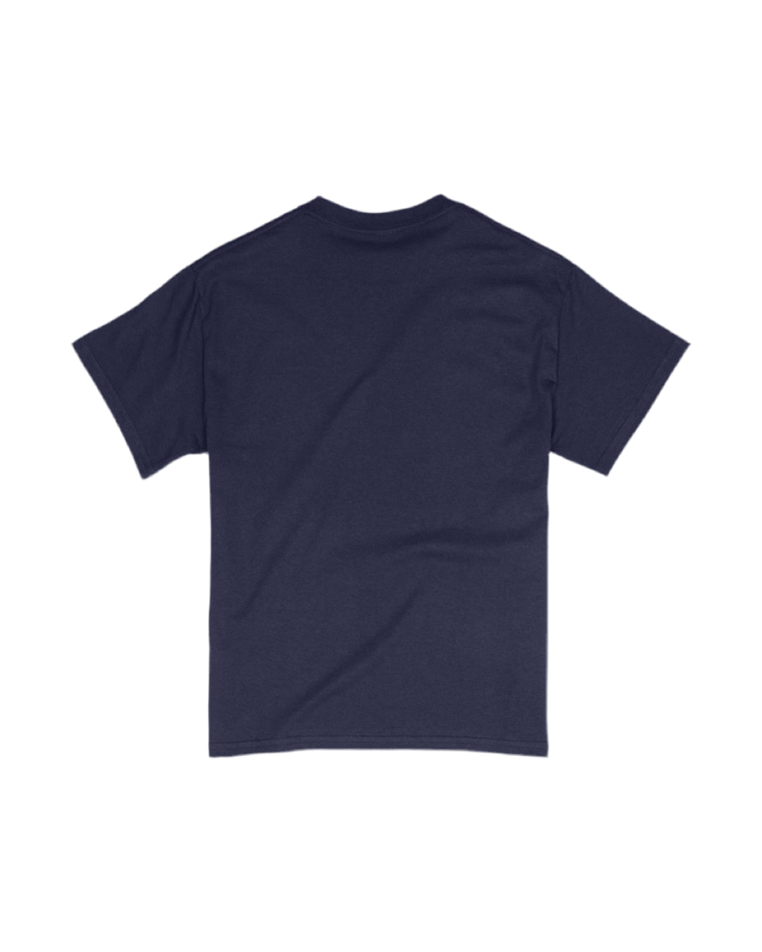 ICE out of LA Shirt
