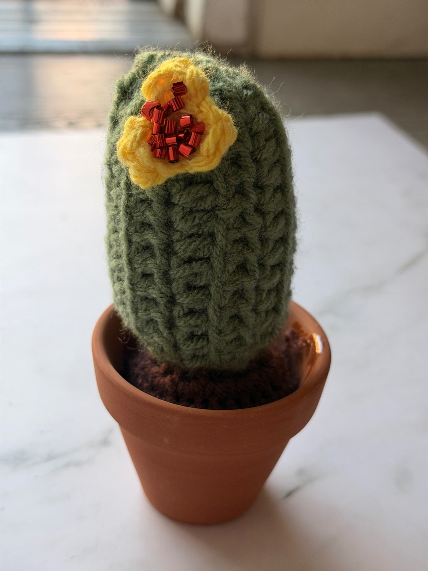 STbL Cactus