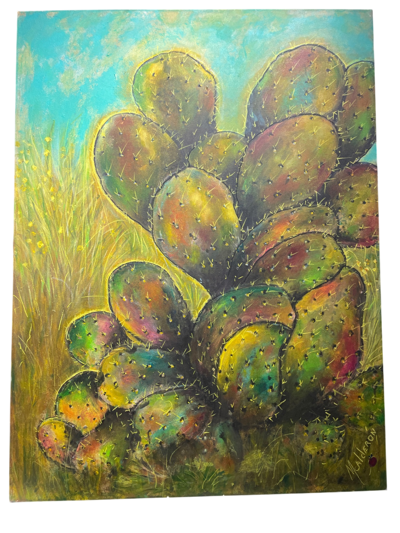 California Cactus